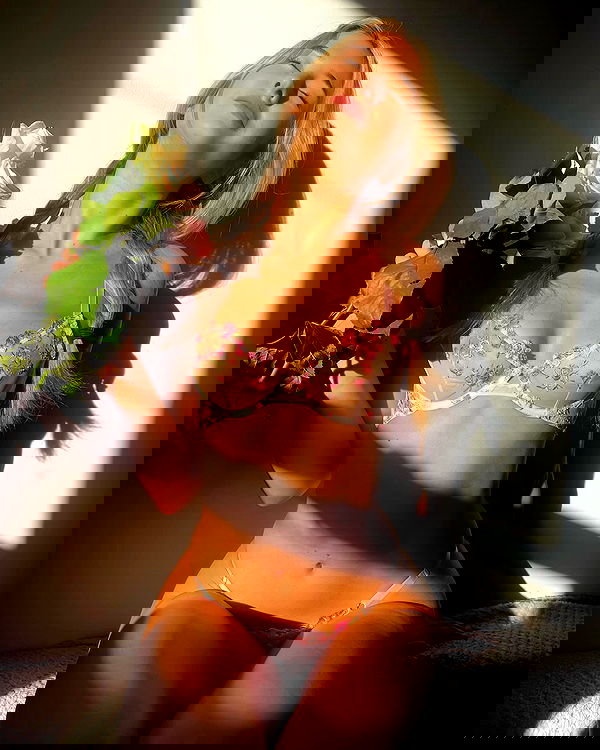 bakedsloths bakedsloths archive image