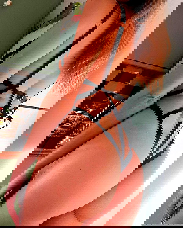 bakedsloths bakedsloths archive image