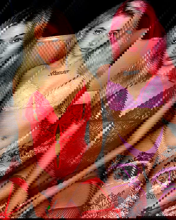 bakedsloths bakedsloths archive image