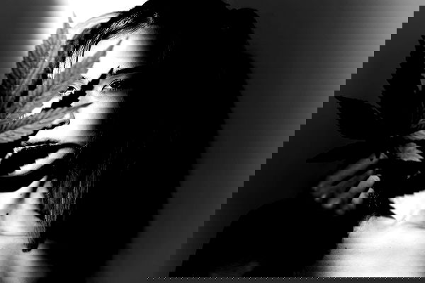 bakedsloths bakedsloths archive image