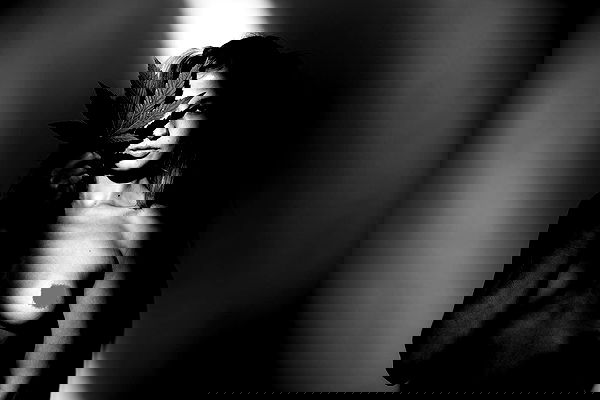 bakedsloths bakedsloths archive image