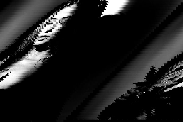 bakedsloths bakedsloths archive image