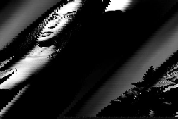 bakedsloths bakedsloths archive image