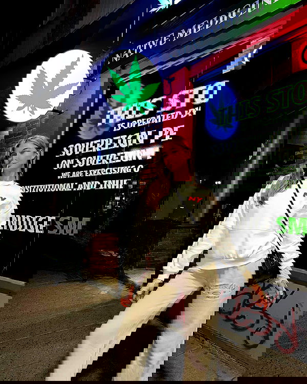 bakedsloths bakedsloths archive image