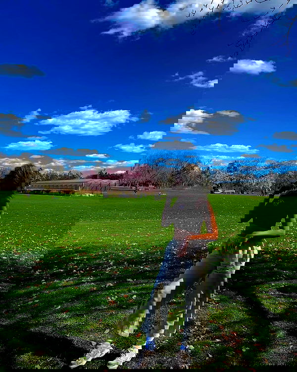 bakedsloths bakedsloths archive image