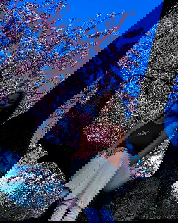 bakedsloths bakedsloths archive image