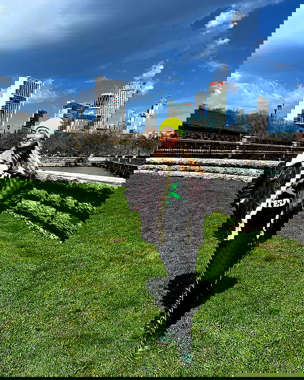 bakedsloths bakedsloths archive image