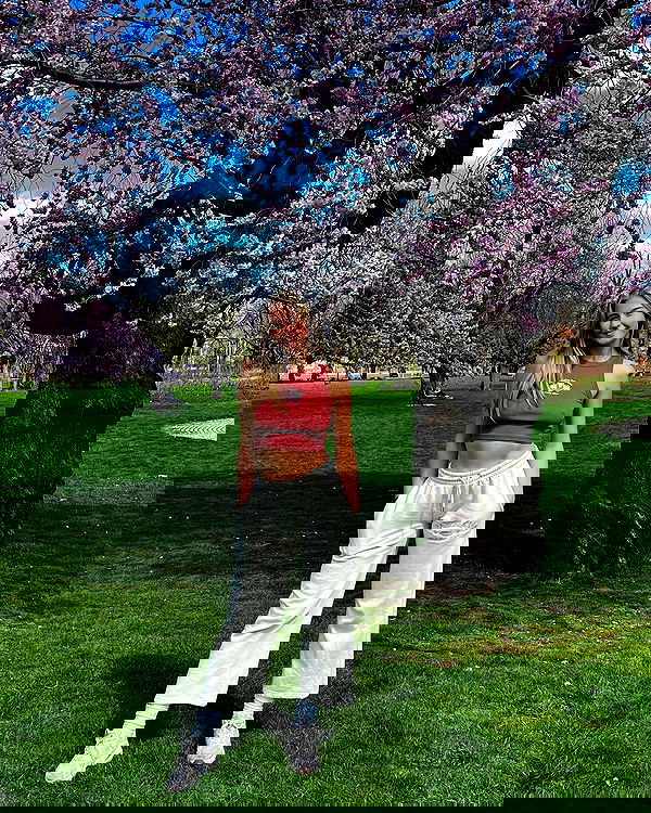 bakedsloths bakedsloths archive image