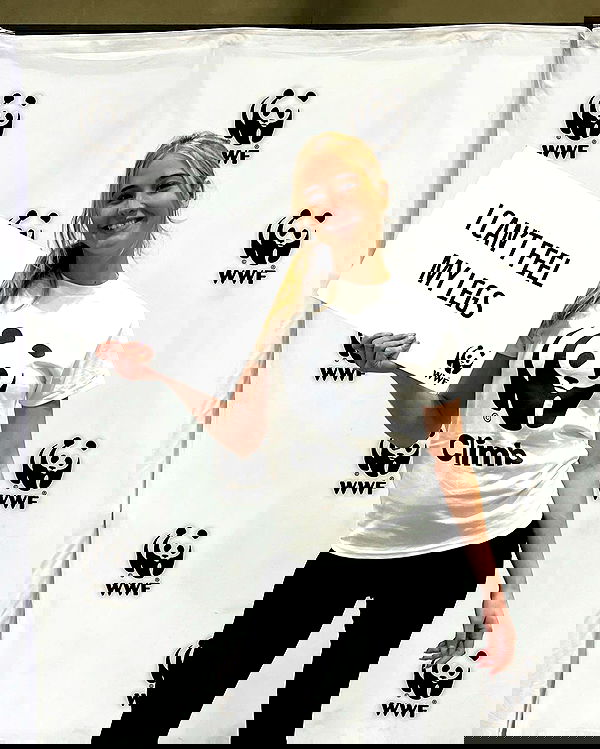 bakedsloths bakedsloths archive image