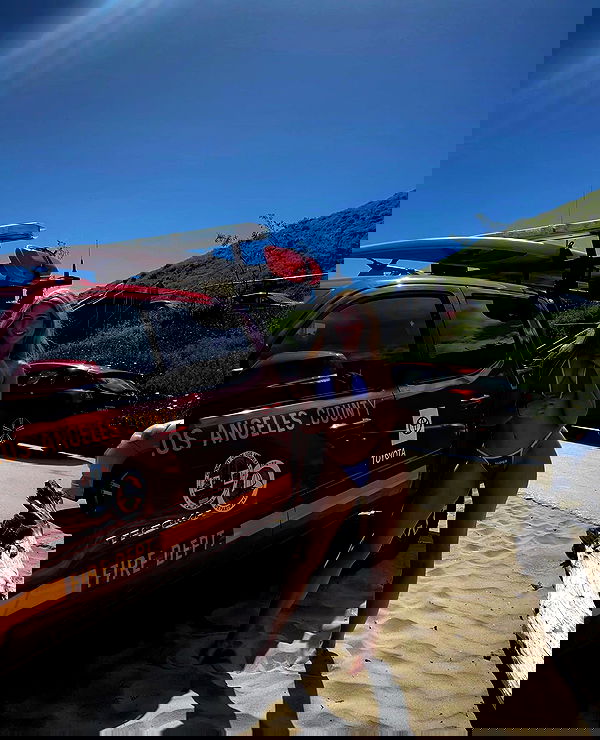 bakedsloths bakedsloths archive image