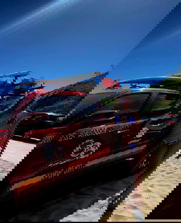 bakedsloths bakedsloths archive image