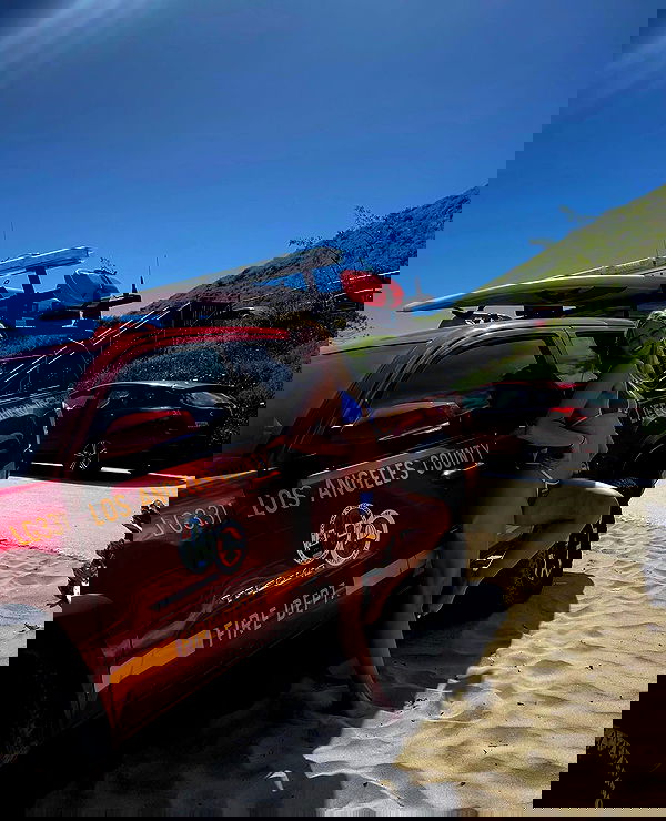 bakedsloths bakedsloths archive image