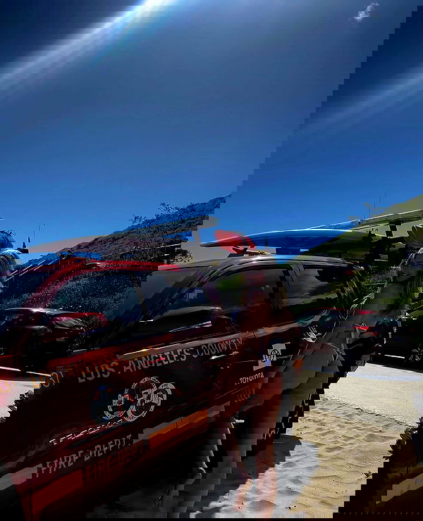 bakedsloths bakedsloths archive image