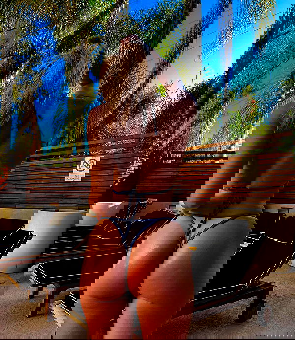 bakedsloths bakedsloths archive image