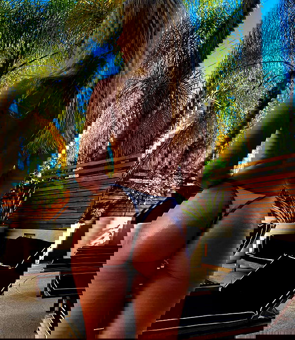 bakedsloths bakedsloths archive image