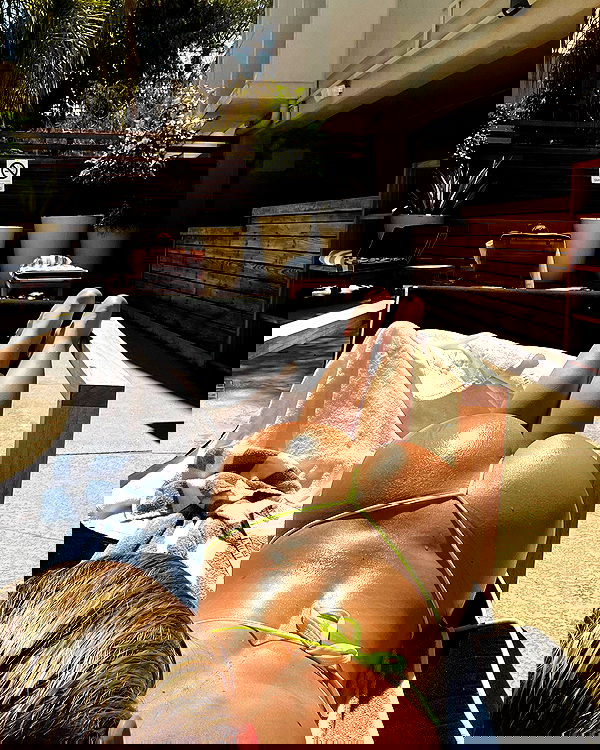 bakedsloths bakedsloths archive image