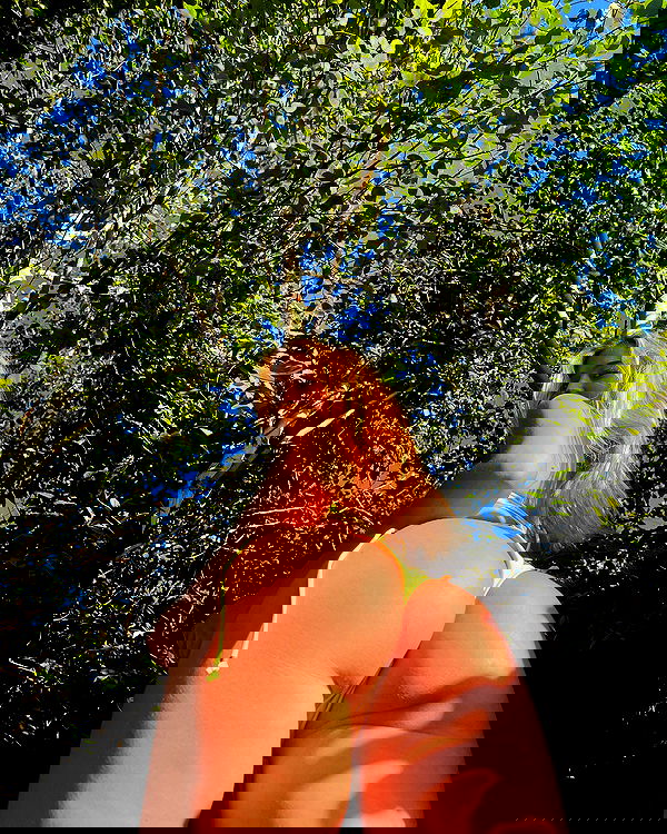 bakedsloths bakedsloths archive image