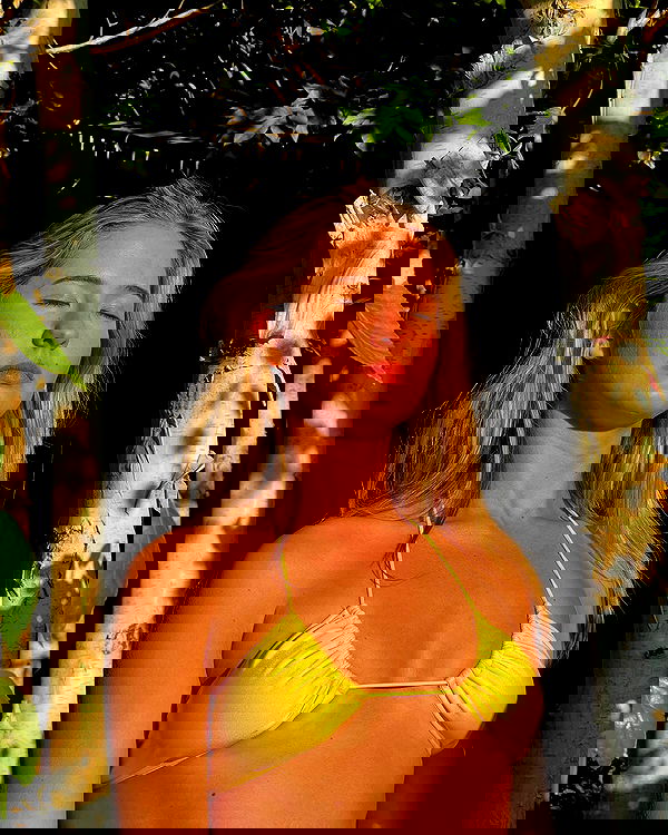 bakedsloths bakedsloths archive image