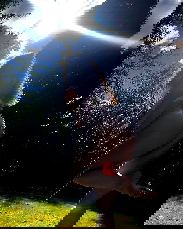 bakedsloths bakedsloths archive image