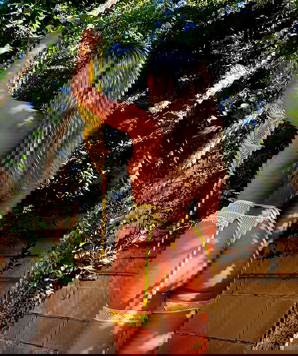 bakedsloths bakedsloths archive image