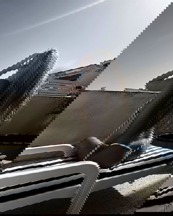 bakedsloths bakedsloths archive image