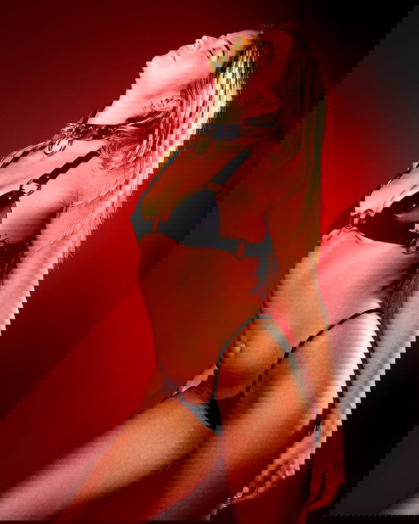 bakedsloths bakedsloths archive image