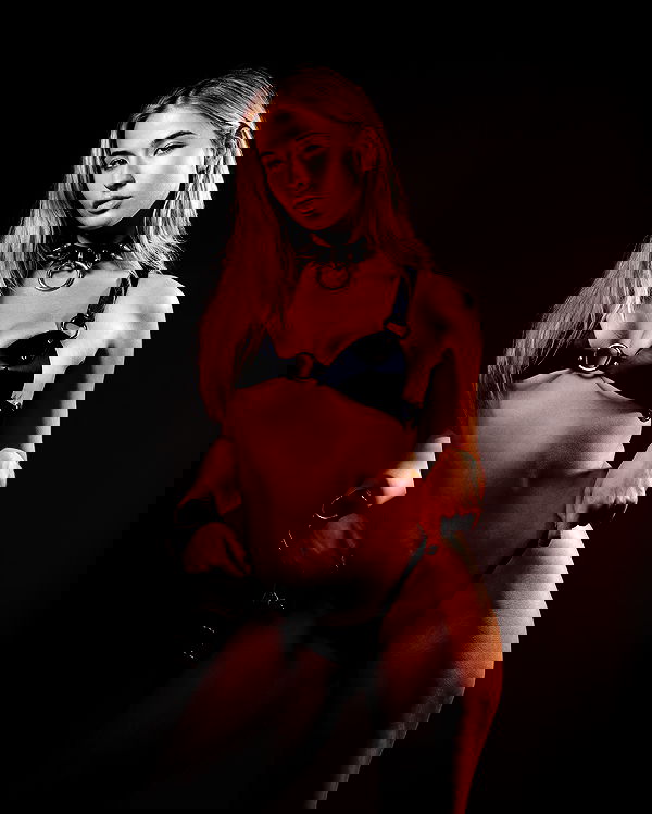 bakedsloths bakedsloths archive image