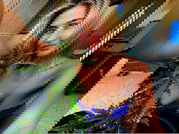 bakedsloths bakedsloths archive image