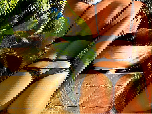 bakedsloths bakedsloths archive image