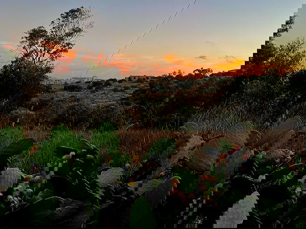 bakedsloths bakedsloths archive image