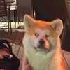 bbydannn Altpins Profile Picture