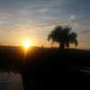 berkleybailey_2 Altpins Profile Picture