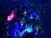 berkleybailey_2 Altpins Profile Picture