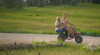 berkleybailey_2 Altpins Profile Picture