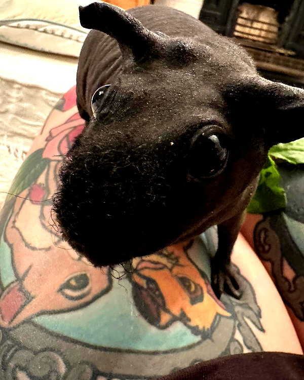 bexicutes instagram image archive image