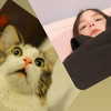 bibsye Altpins Profile Picture