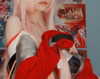 bibsye Altpins Profile Picture