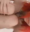 bibsye Altpins Profile Picture