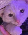 bibsye Altpins Profile Picture