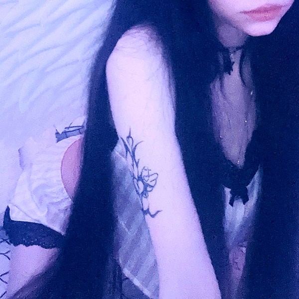 bibsye instagram image archive image