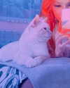 bibsye Altpins Profile Picture