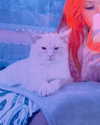 bibsye Altpins Profile Picture