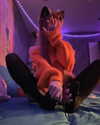 bibsye Altpins Profile Picture