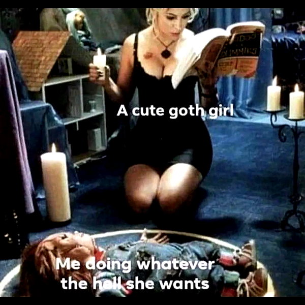 bitch.ceo instagram image archive image