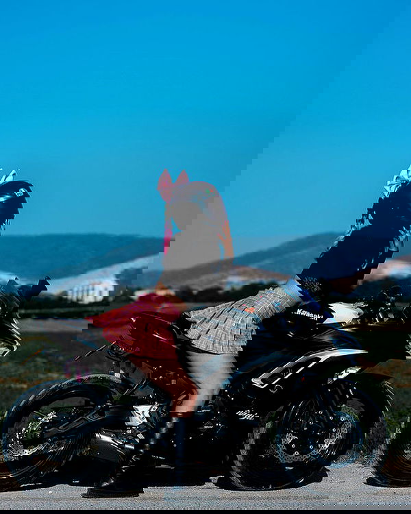 biton__adi biton__adi archive image