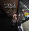 boxdyeblonde Altpins Profile Picture