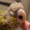 brennamooreeee Altpins Profile Picture