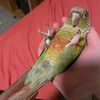 brennamooreeee Altpins Profile Picture