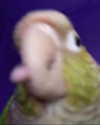 brennamooreeee Altpins Profile Picture