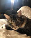 bristalll Altpins Profile Picture